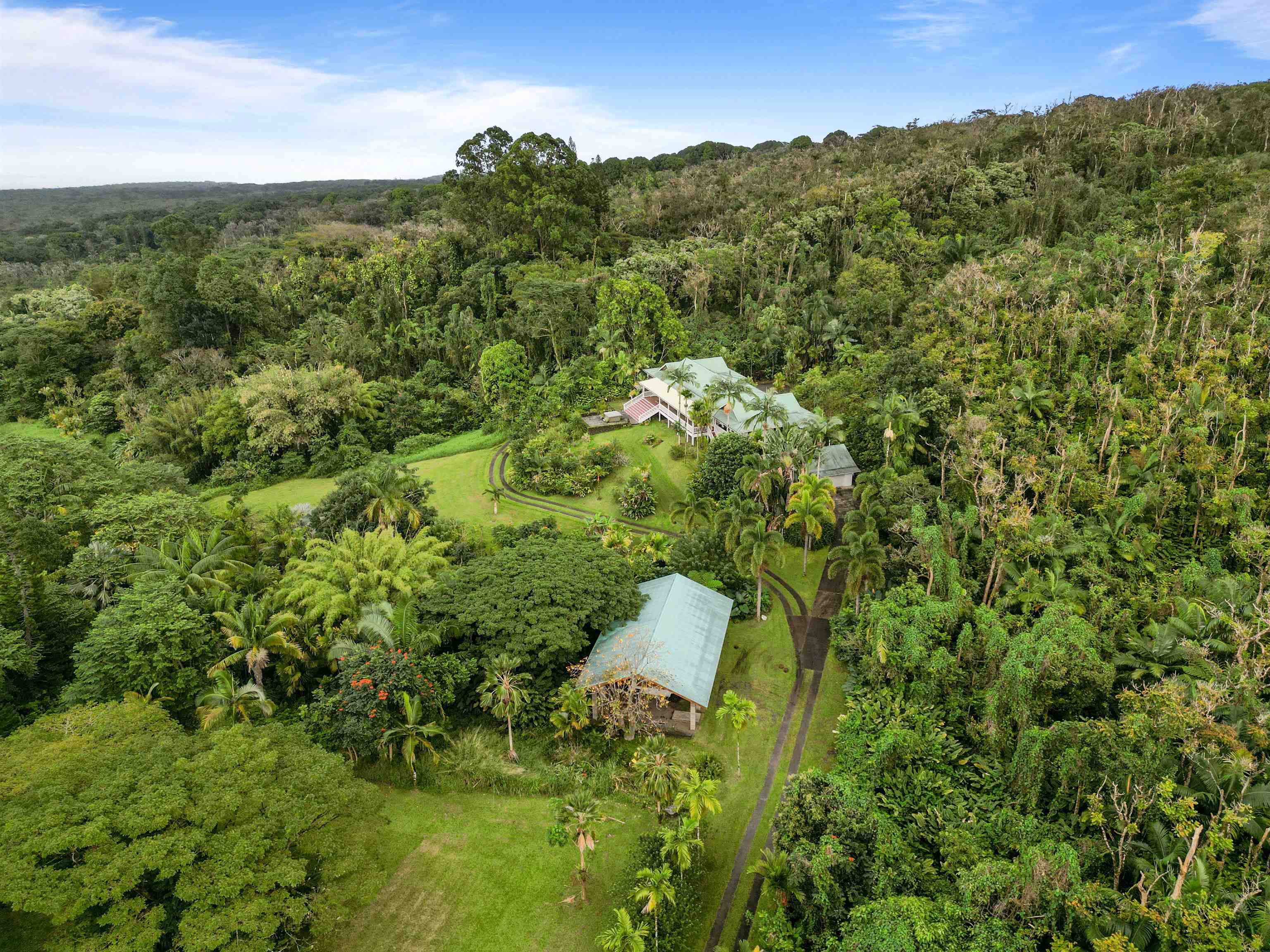 285 Kalo Road Hana, HI 96713 - Photo 36 of 36 a view of a bunch of trees and bushes