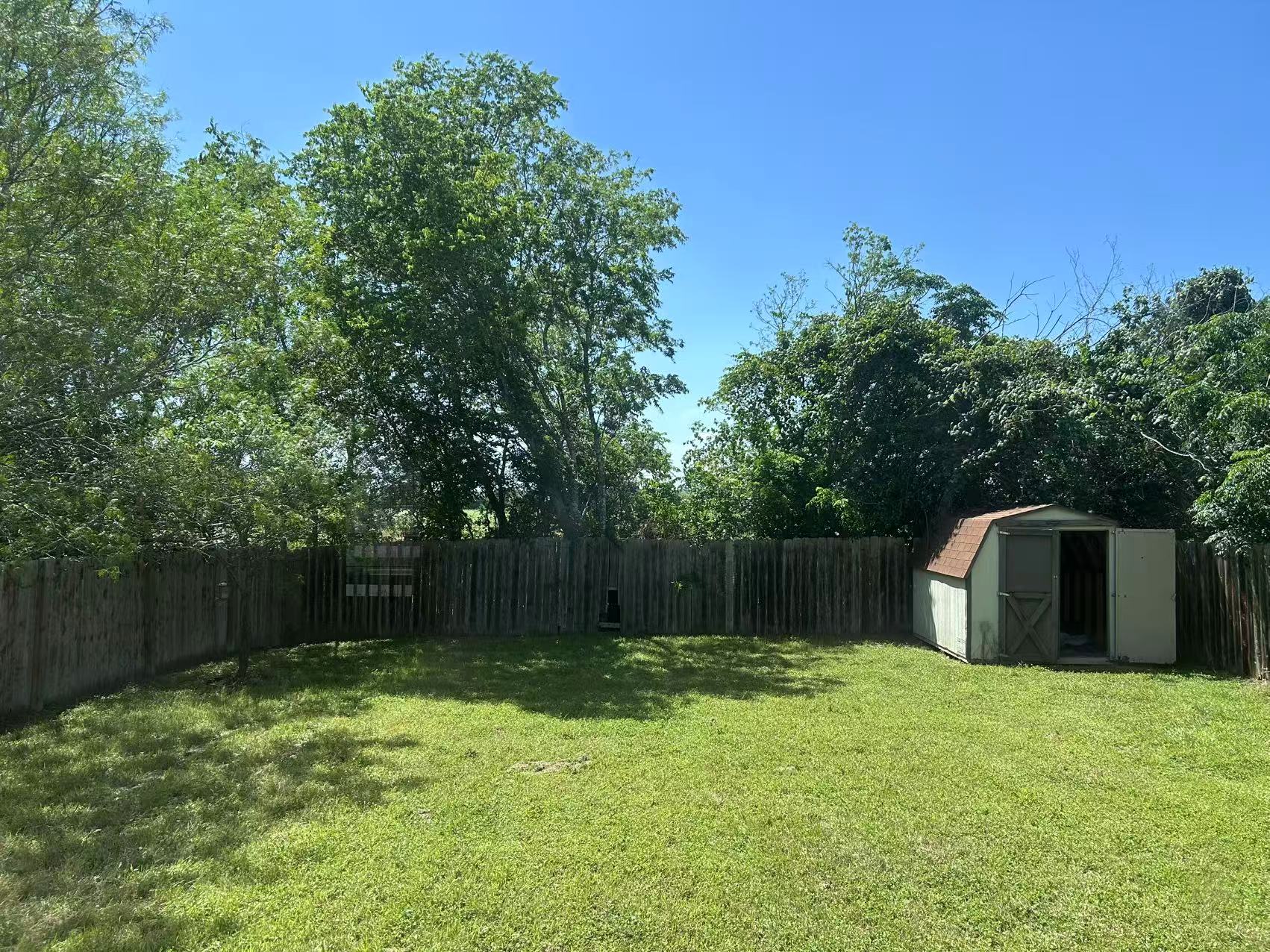 5608 Netleaf Road Austin, TX 78724 - Photo 26 of 26 A verdant lawn provides a spacious private yard, bordered by a wooden fence and mature trees, featuring a convenient storage shed.