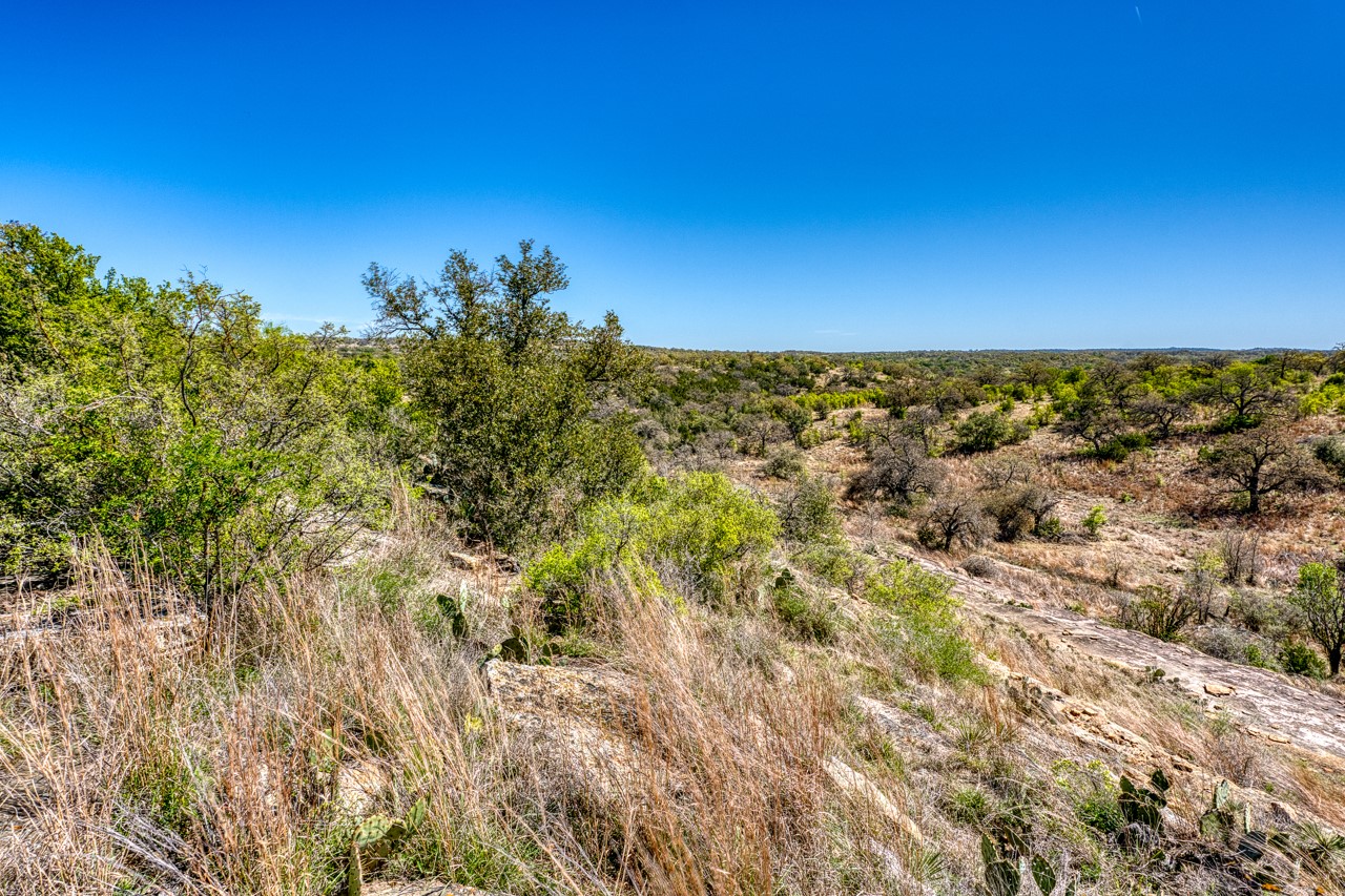 Tbd Tbd Smith West Road Johnson City, TX 78636 - Photo 29 of 36 View of nature