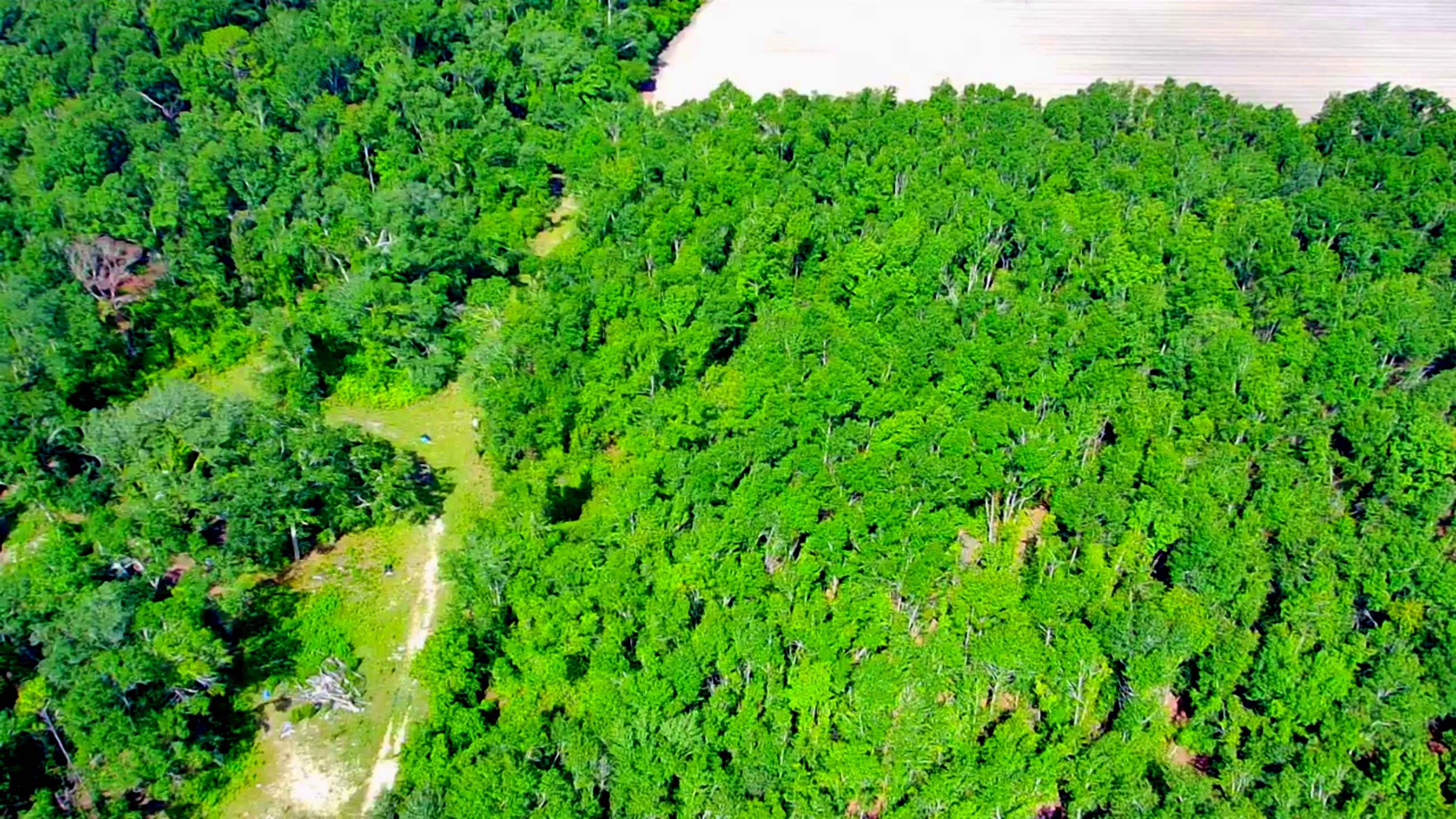 1-acre Northeast Hickory Grove Road Pinetta, FL 32350 - Photo 17 of 44 Gallery Image 17