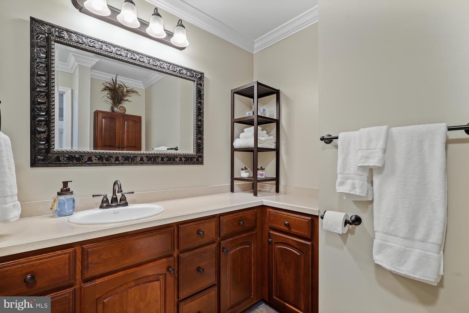 13826 Howard Road Dayton, MD 21036 - Photo 33 of 44 Master Bathroom w/New Mirror & Fixtures