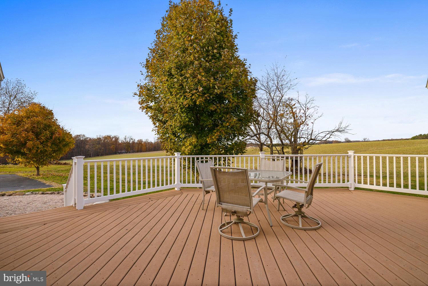 13826 Howard Road Dayton, MD 21036 - Photo 39 of 44 Trex Deck
