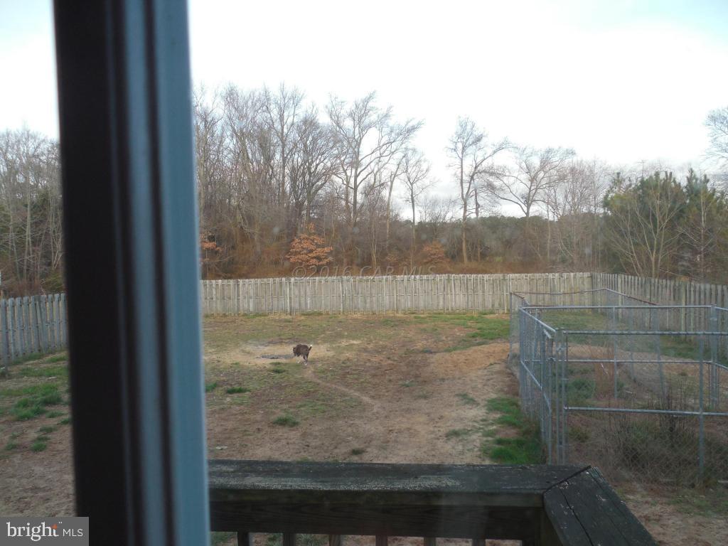 5047 Campground Road Eden, MD 21822 - Photo 35 of 36 Gallery Image 35