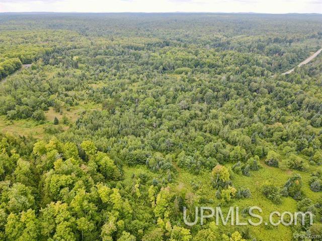 9692 North Laird Road Pelkie, MI 49958 - Photo 34 of 44