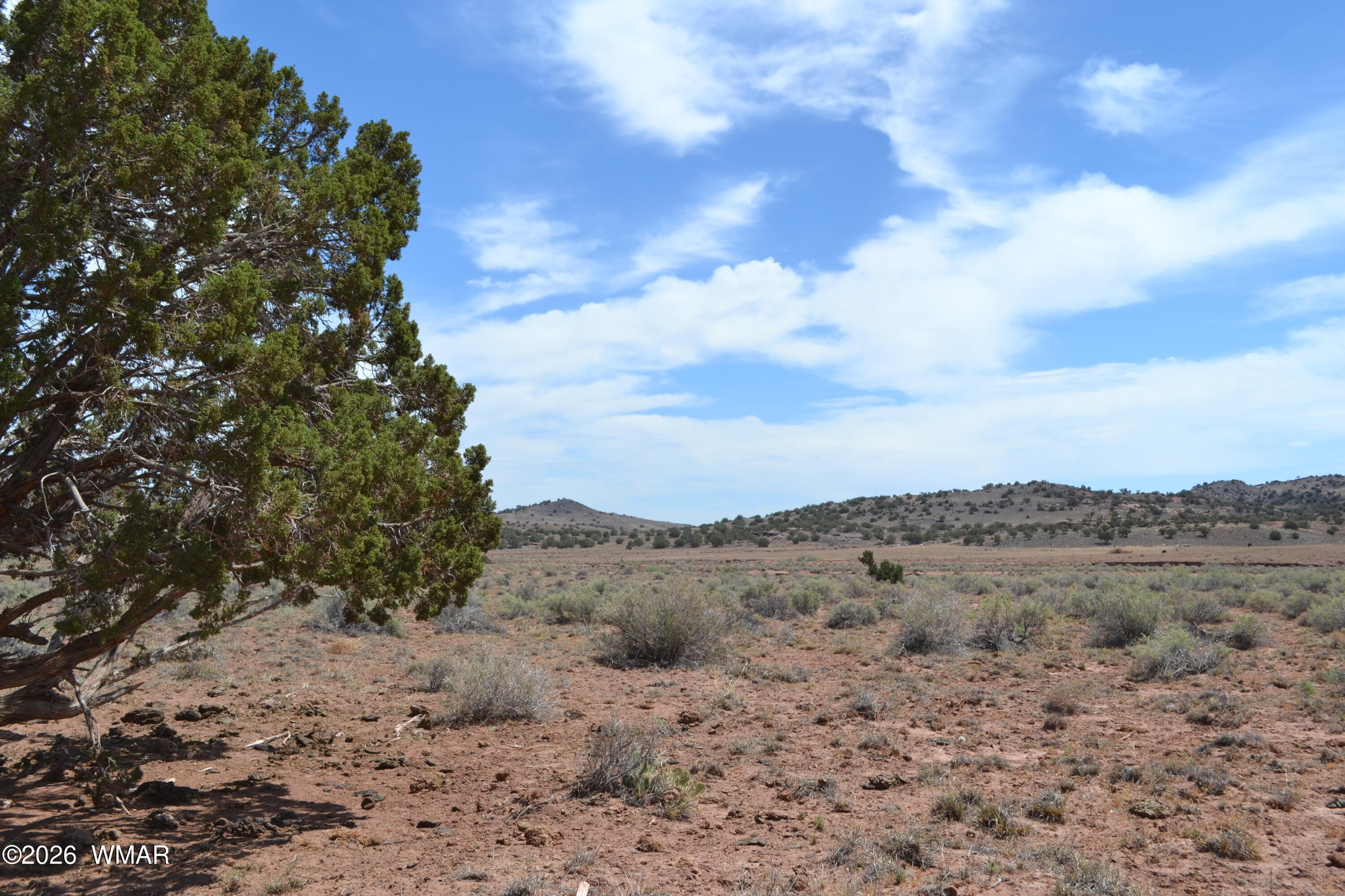 18-19 N8577 Road Concho, AZ 85924 - Photo 14 of 17 DSC_0207