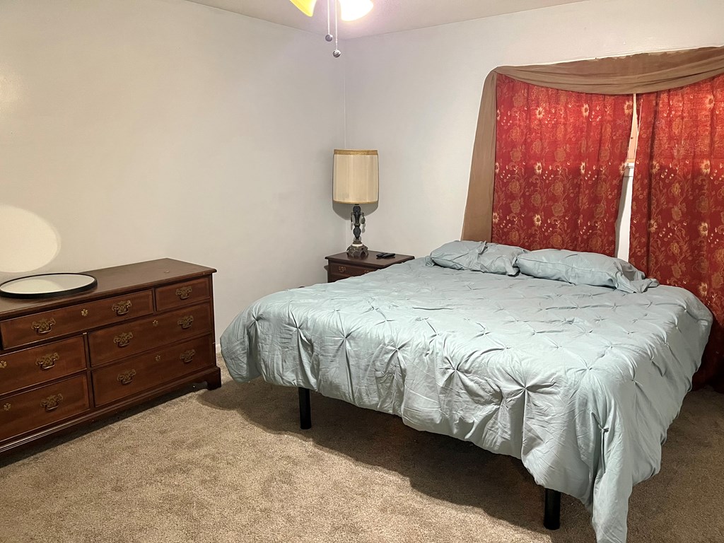 100 West English Street Samson, AL 36477 - Photo 7 of 14