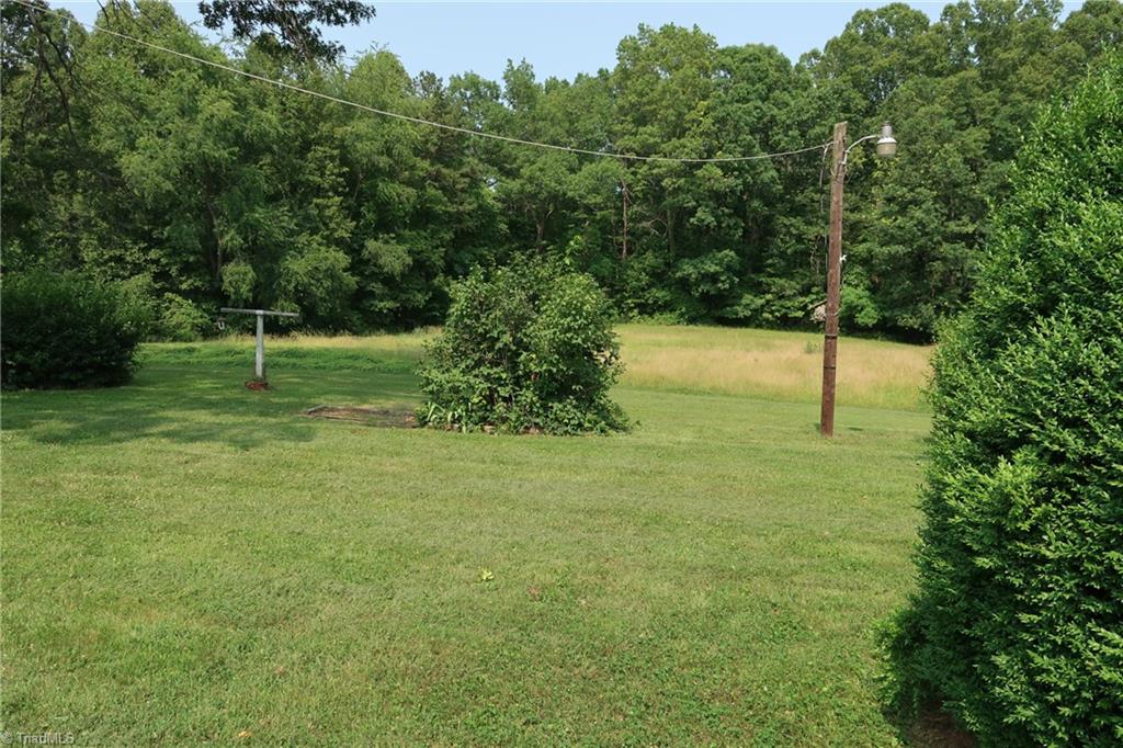 back yard