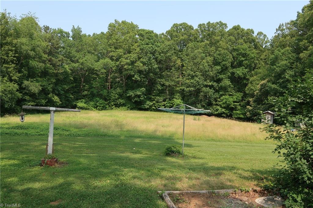 back yard