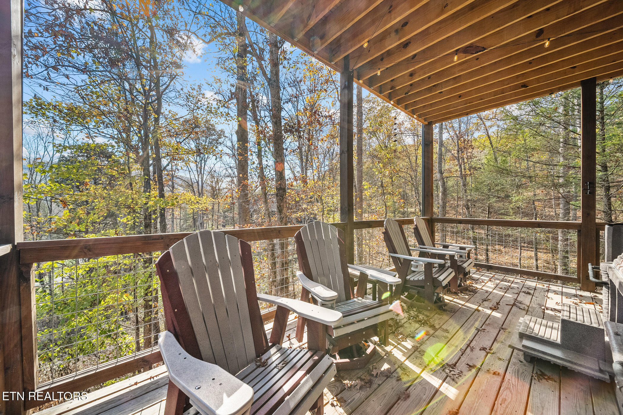 2686 Sulpher Spring Way Sevierville, TN 37862 - Photo 44 of 59 dsc04861