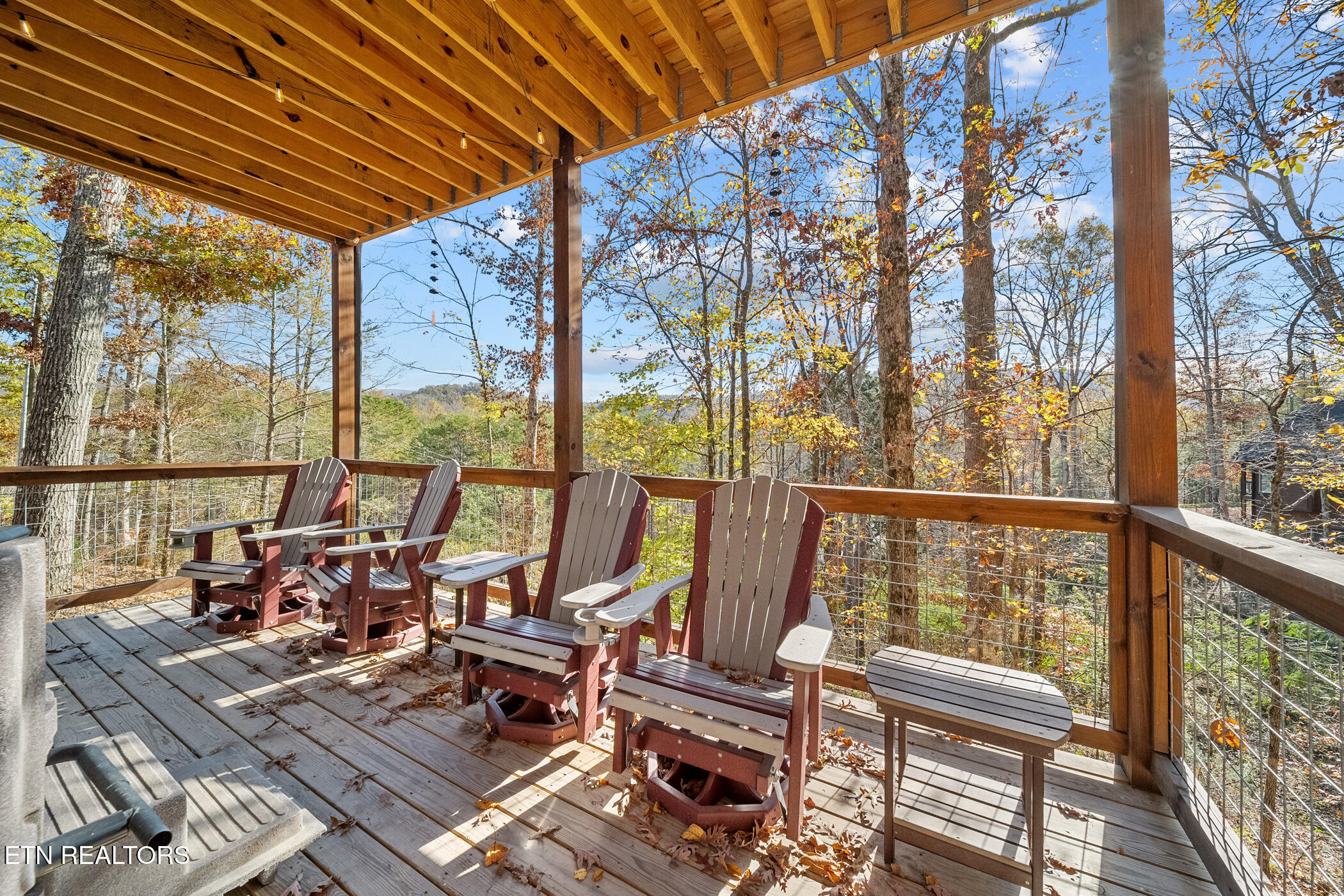 2686 Sulpher Spring Way Sevierville, TN 37862 - Photo 45 of 59 dsc04866