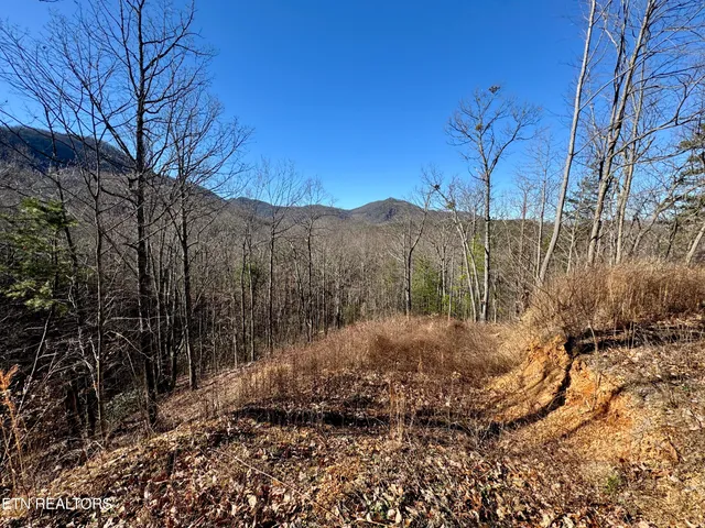 $2,750,000 | 5 Caney Creek, Pigeon Forge, TN 37863