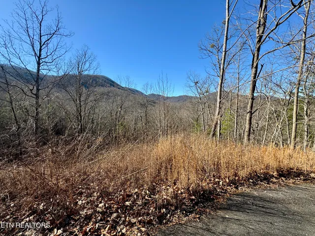 $2,750,000 | 5 Caney Creek, Pigeon Forge, TN 37863