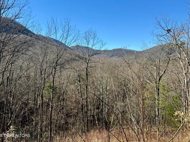 $2,750,000 | 5 Caney Creek, Pigeon Forge, TN 37863