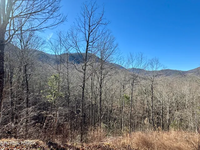 $2,750,000 | 5 Caney Creek, Pigeon Forge, TN 37863