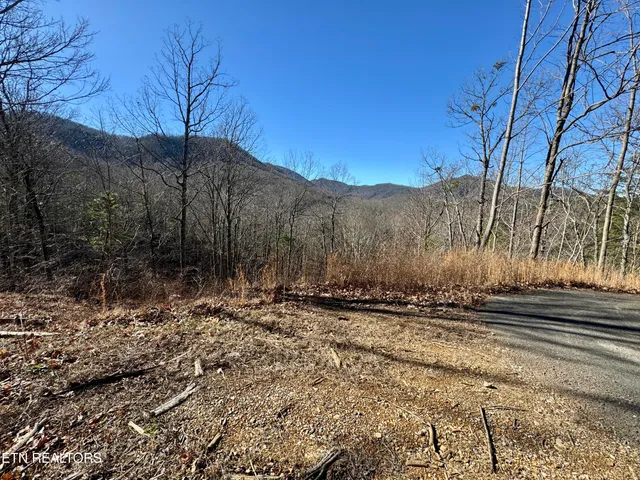 $2,750,000 | 5 Caney Creek, Pigeon Forge, TN 37863