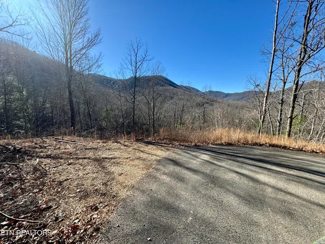 $2,750,000 | 5 Caney Creek, Pigeon Forge, TN 37863