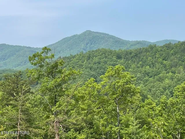 $2,750,000 | 5 Caney Creek, Pigeon Forge, TN 37863