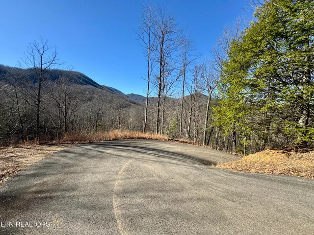 $2,750,000 | 5 Caney Creek, Pigeon Forge, TN 37863