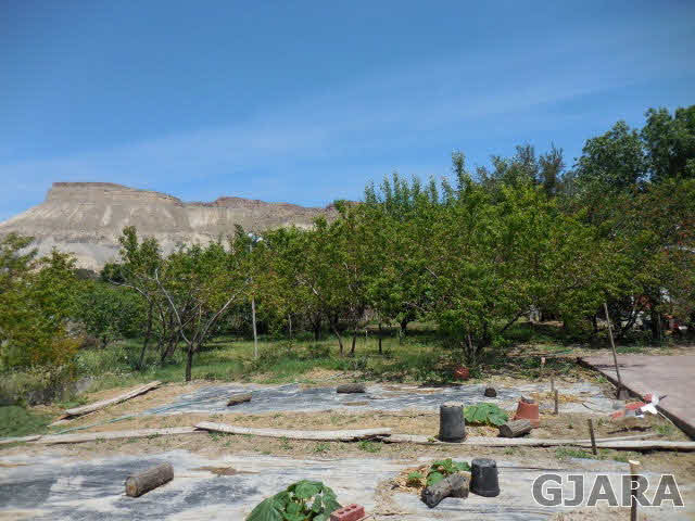 3581 G Road Palisade, CO 81526 - Photo 33 of 41 a view of a yard with an outdoor space