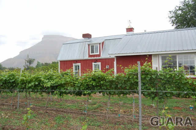 3581 G Road Palisade, CO 81526 - Photo 40 of 41 a front view of a house with garden