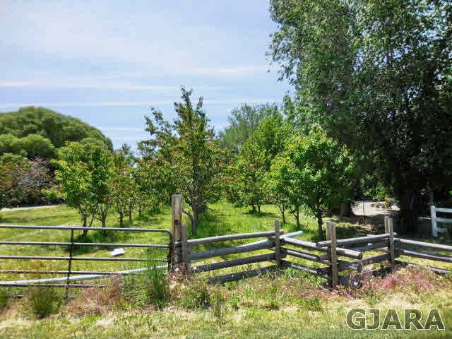 3581 G Road Palisade, CO 81526 - Photo 4 of 41 a view of a bench in the backyard
