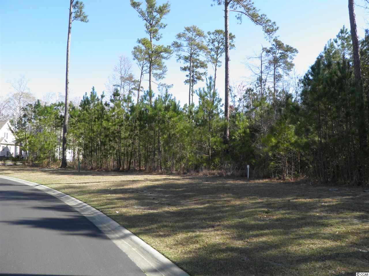 72 Grey Moss Road Murrells Inlet, SC 29576 - Photo 1 of 9 Gallery Image 1