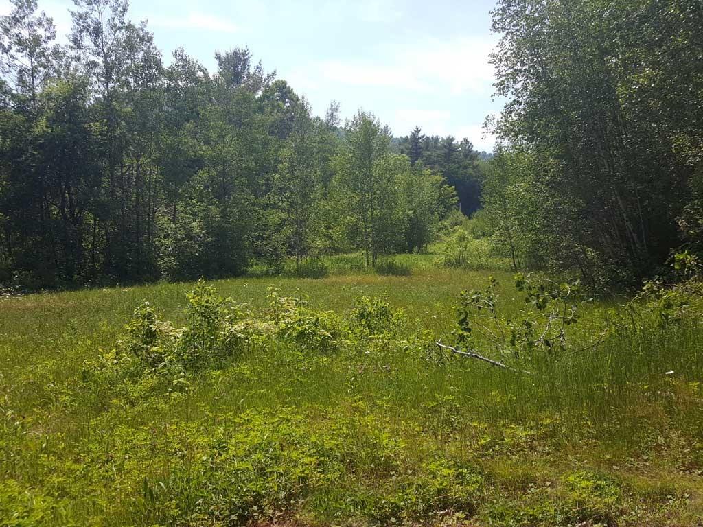 19 Hillside Way Newry, ME 04261 - Photo 18 of 18 Photo