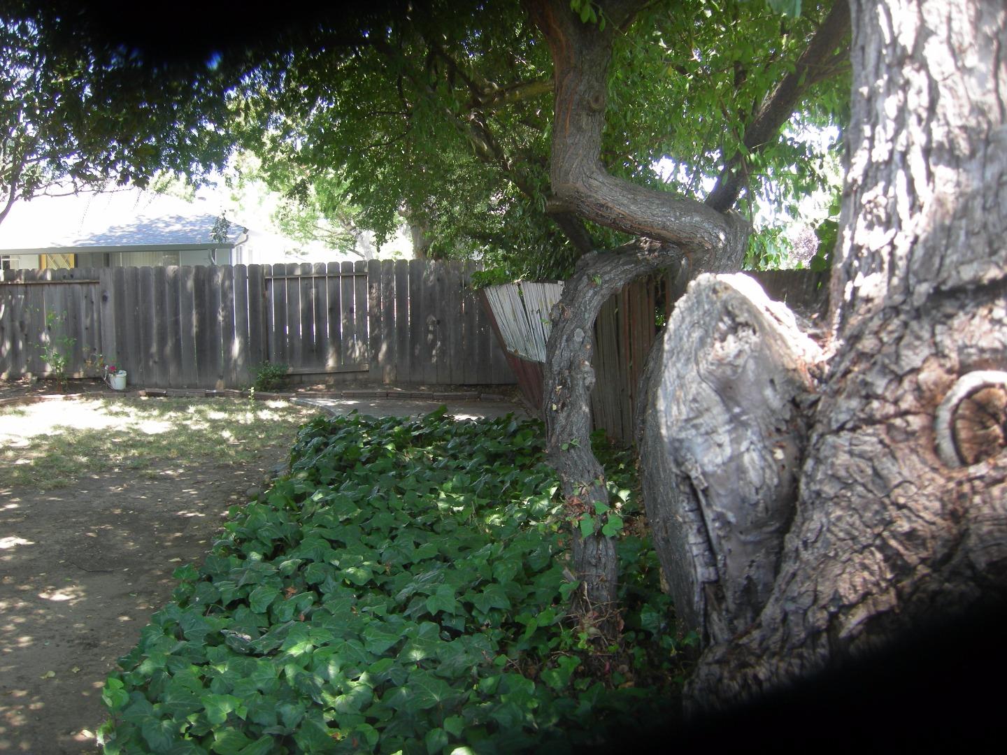 1735 Springer Road Mountain View, CA 94040 - Photo 11 of 14
