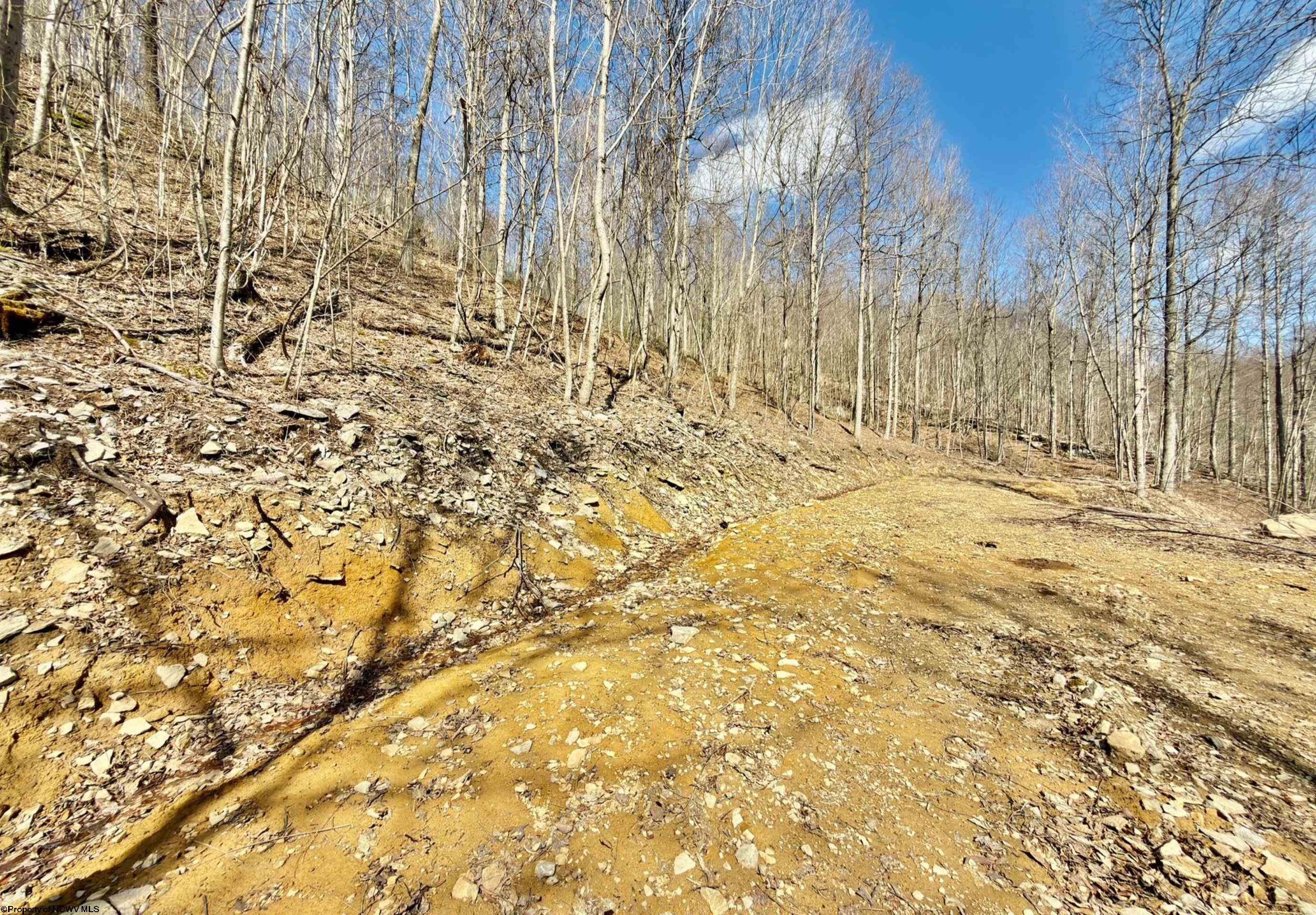 Lot 9 Brooklyn Road Parsons, WV 26287 - Photo 1 of 11 Gallery Image 1