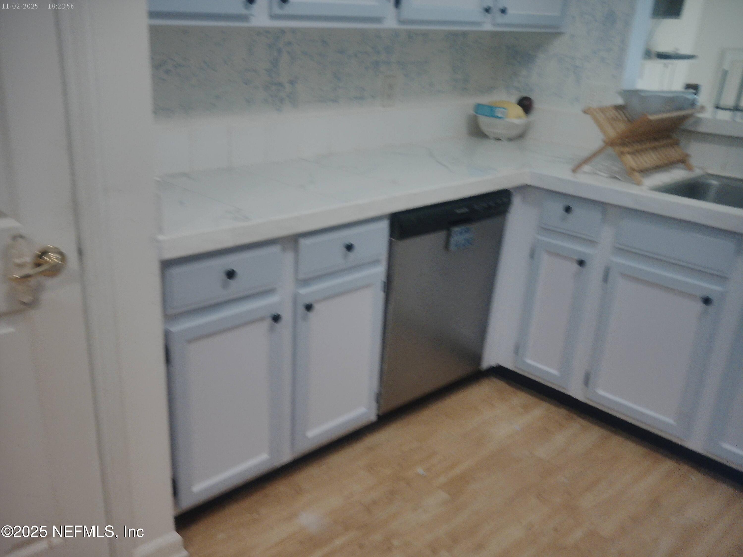 1641 Spring Oaks Lane Jacksonville, FL 32221 - Photo 21 of 24 a kitchen with a sink and cabinets