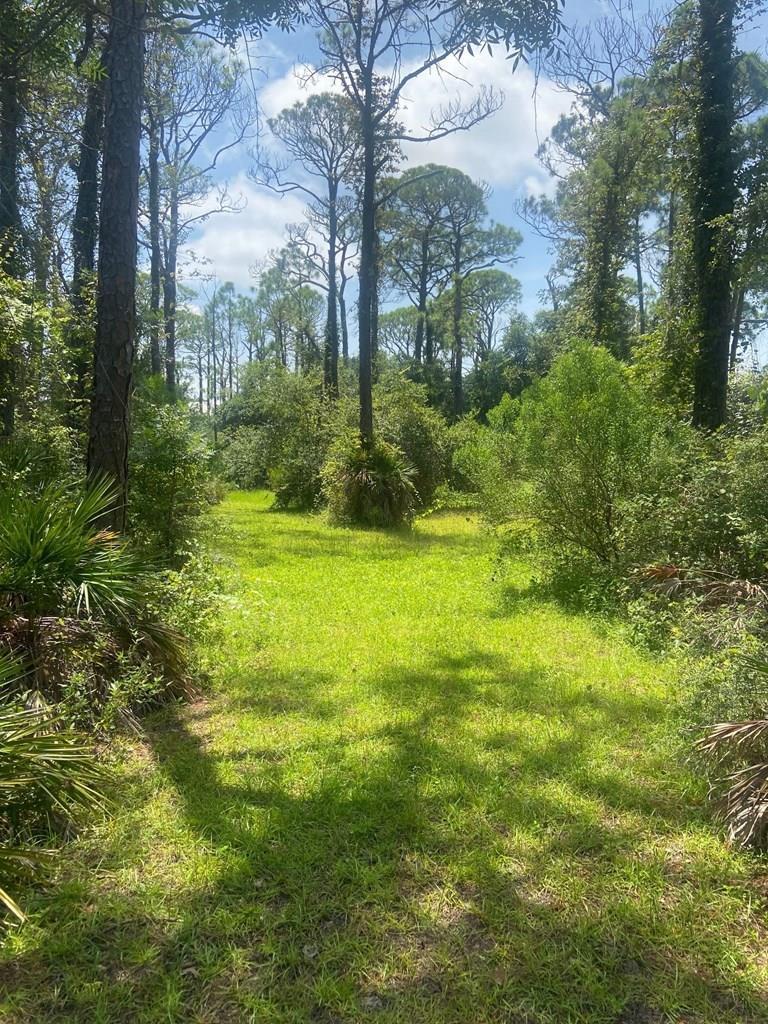312 Howell Street Eastpoint, FL 32328 - Photo 17 of 30