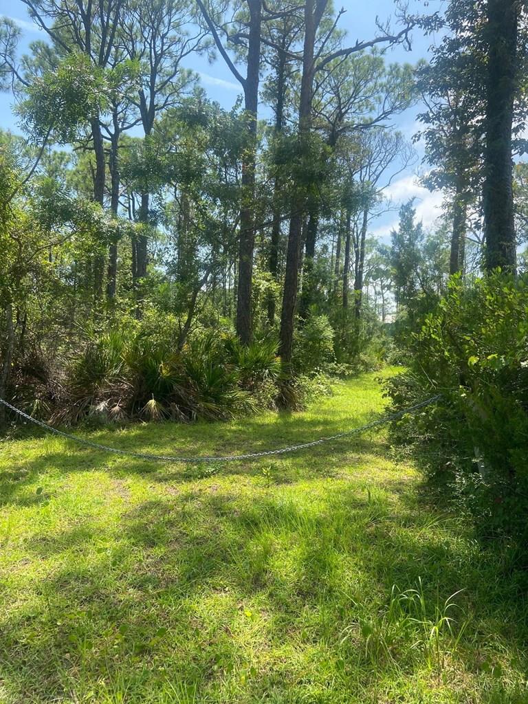 312 Howell Street Eastpoint, FL 32328 - Photo 20 of 30