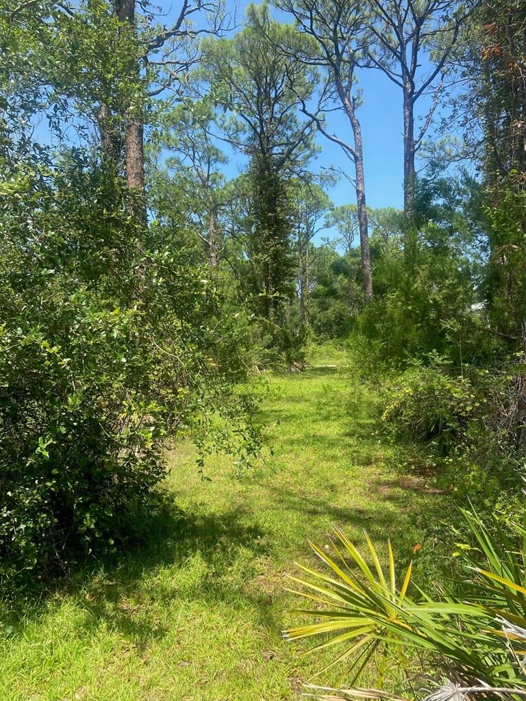 312 Howell Street Eastpoint, FL 32328 - Photo 22 of 30