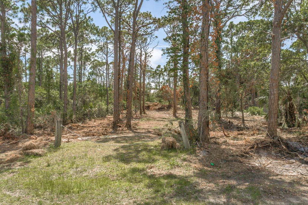 312 Howell Street Eastpoint, FL 32328 - Photo 7 of 30
