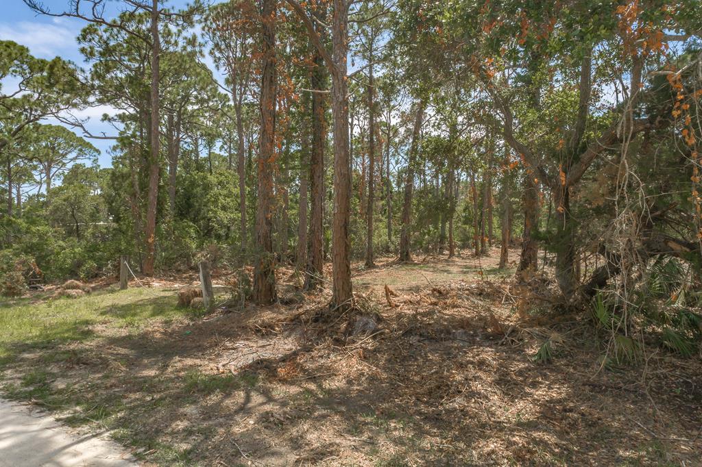 312 Howell Street Eastpoint, FL 32328 - Photo 8 of 30