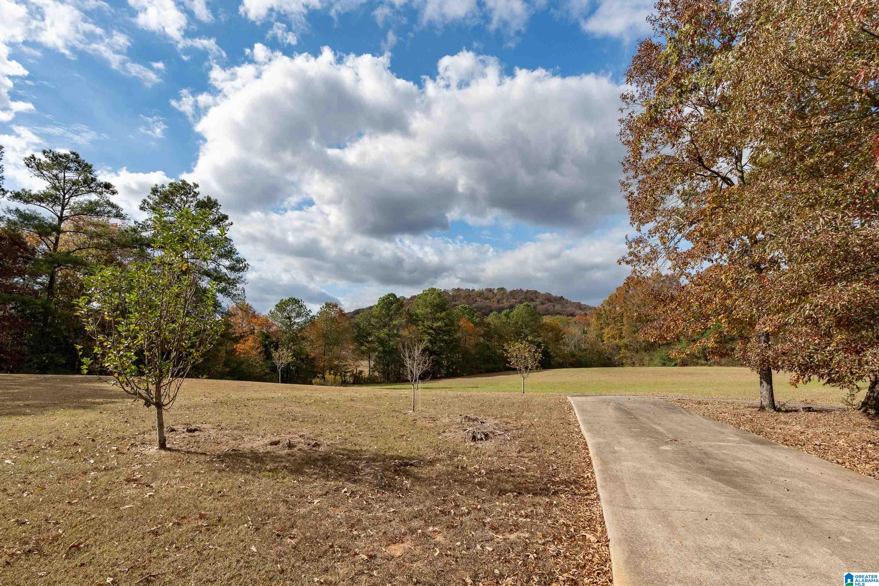 7260 Cavern Road Trussville, AL 35173 - Photo 70 of 91