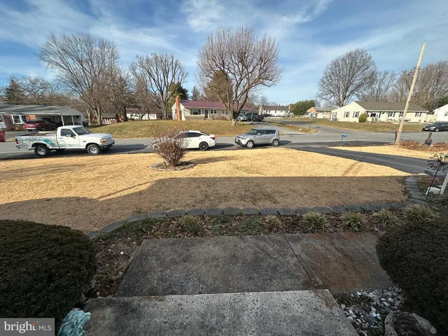 a view of a yard with car parked