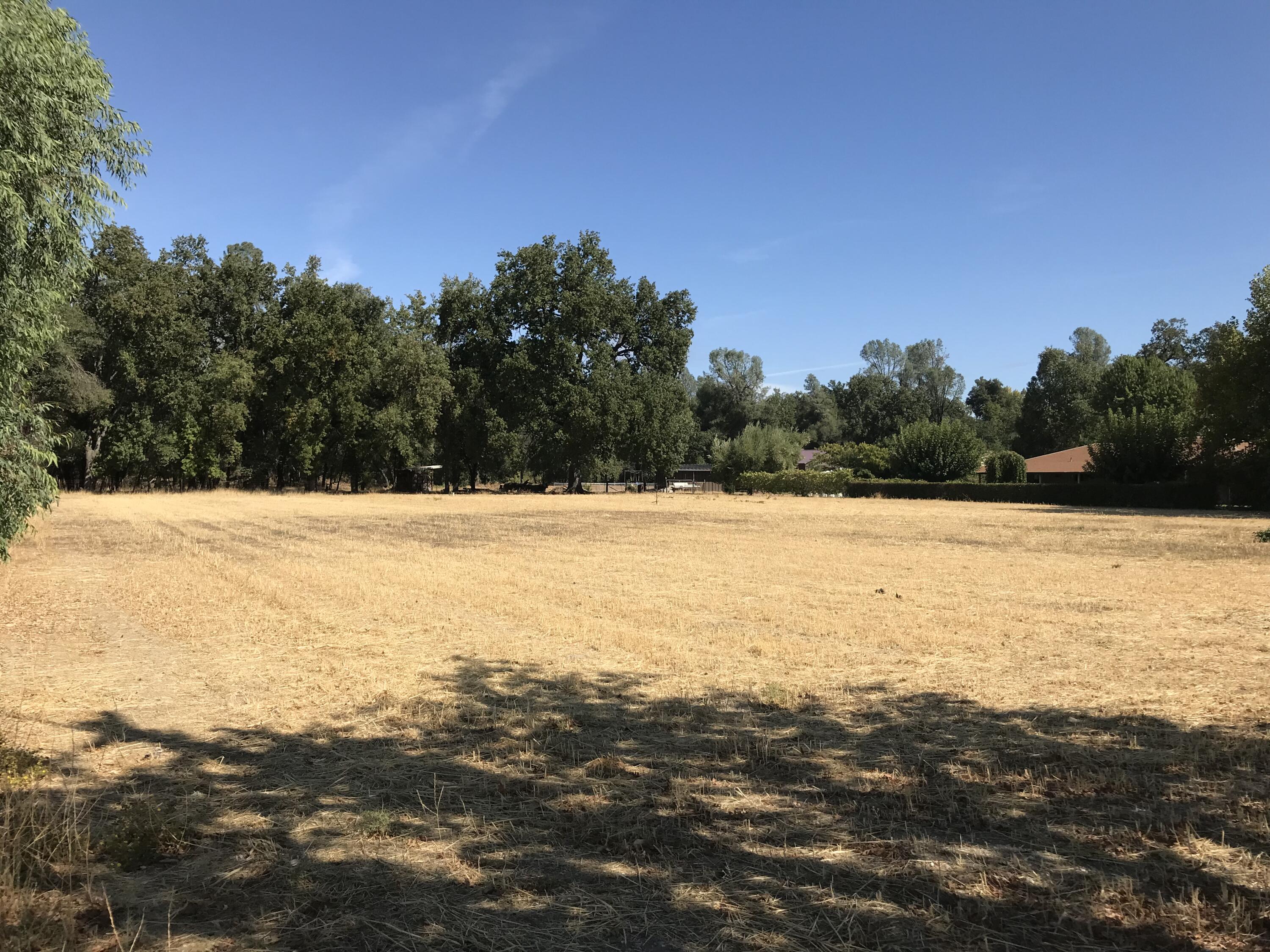 21990 Stone Meadows Road Palo Cedro, CA 96073 - Photo 11 of 26 Pasture