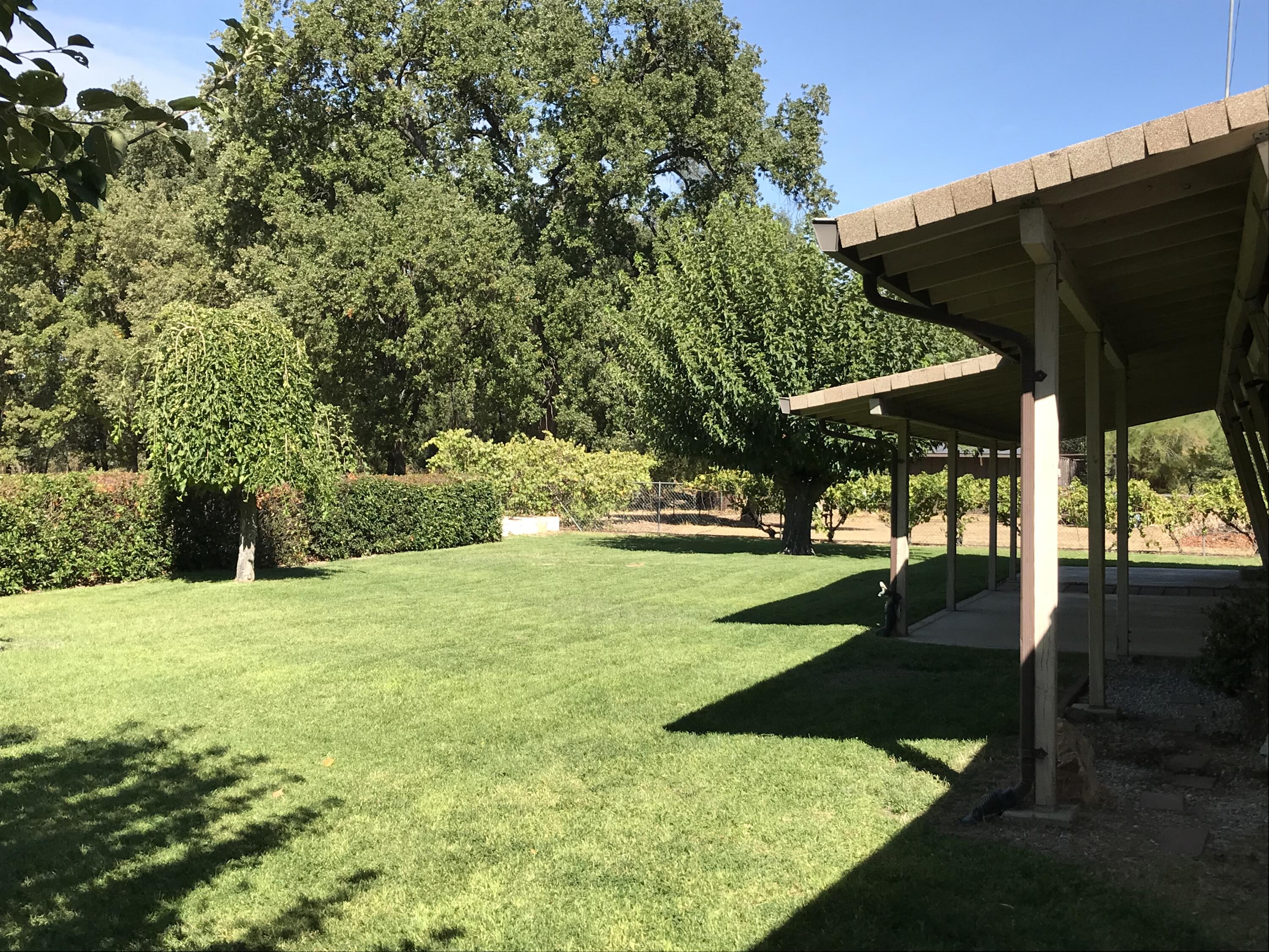21990 Stone Meadows Road Palo Cedro, CA 96073 - Photo 4 of 26 Back Yard