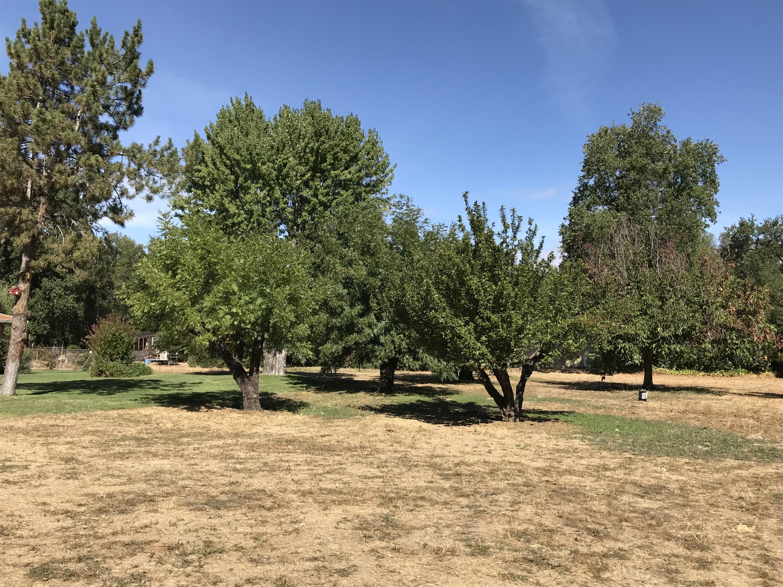 21990 Stone Meadows Road Palo Cedro, CA 96073 - Photo 6 of 26 Fruit trees