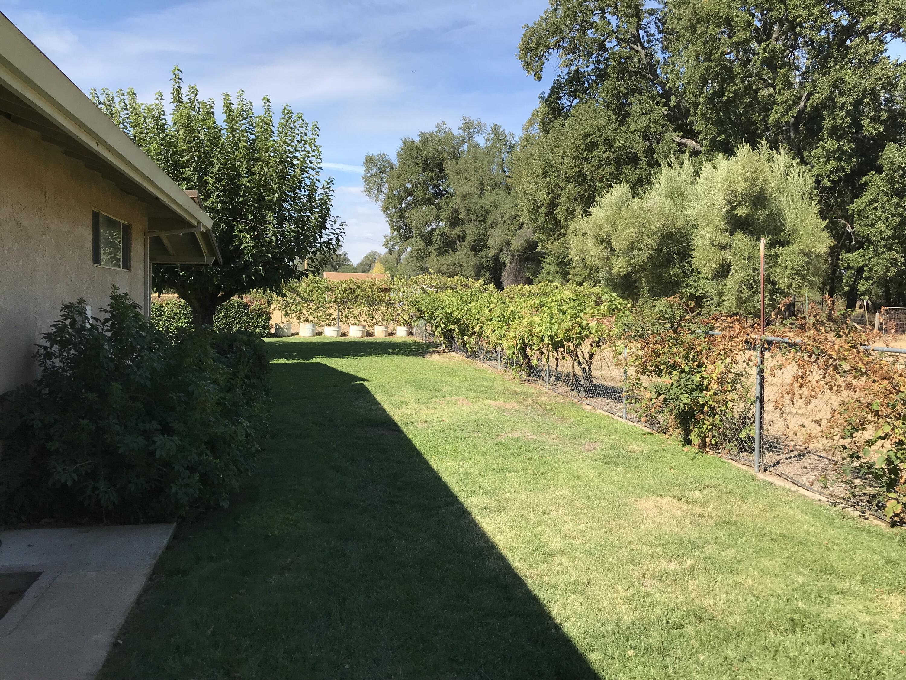 21990 Stone Meadows Road Palo Cedro, CA 96073 - Photo 7 of 26 Side yard