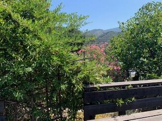 2 Holman Road Carmel Valley, CA 93924 - Photo 16 of 28 Gallery Image 16