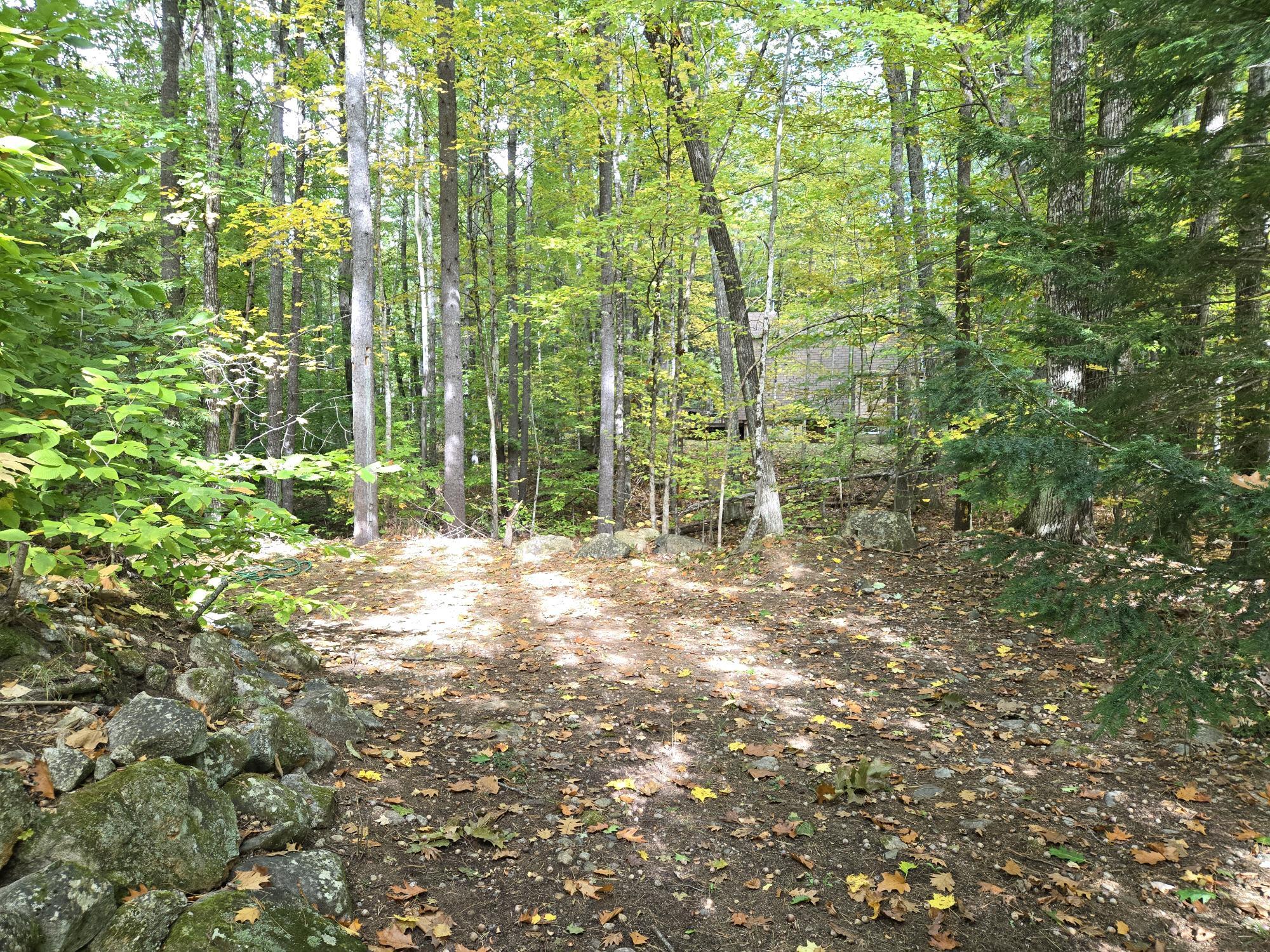 173 Mountain Road Denmark, ME 04022 - Photo 32 of 49 20241010_132832