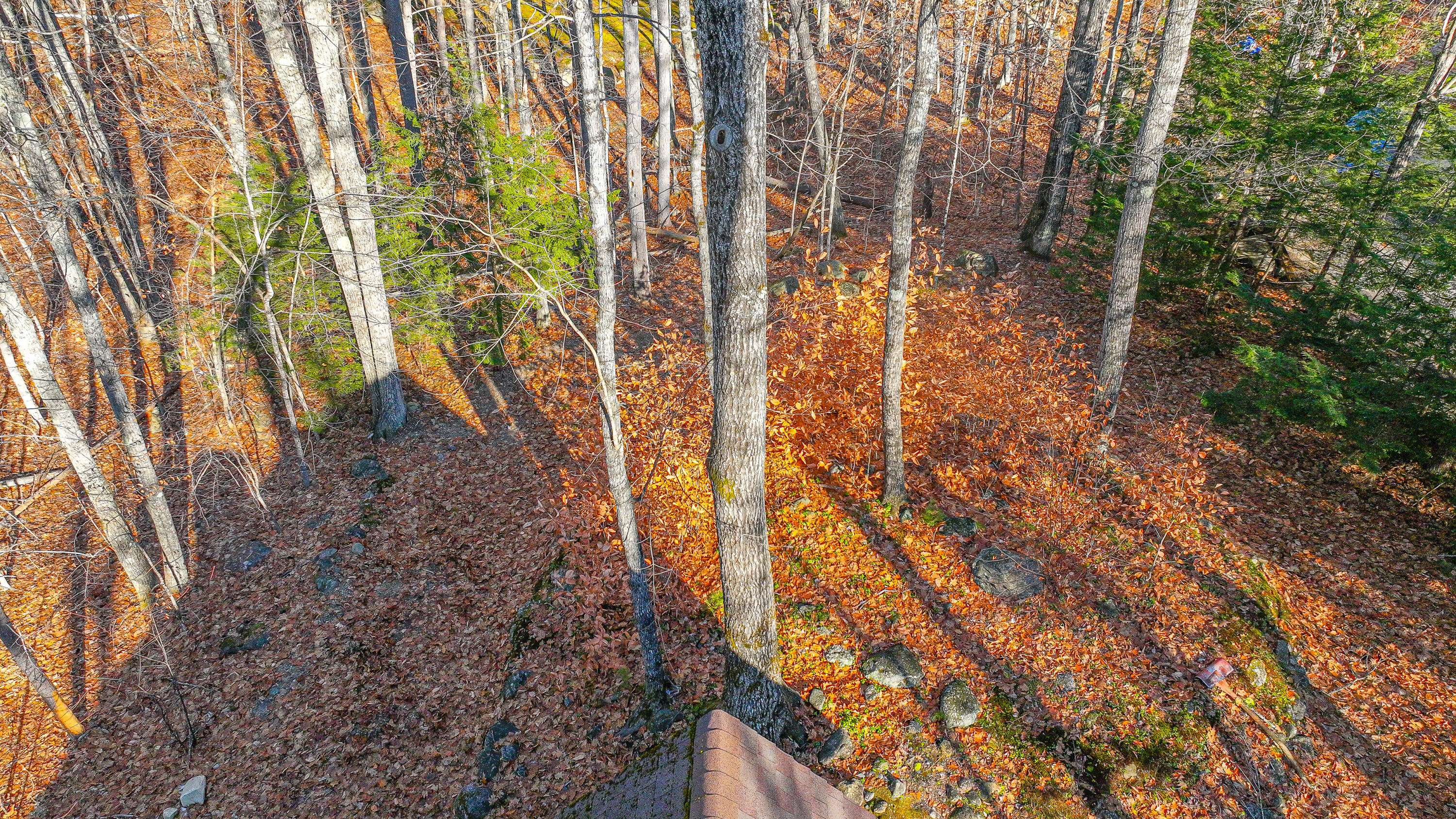 173 Mountain Road Denmark, ME 04022 - Photo 41 of 49 173 mountain road-24