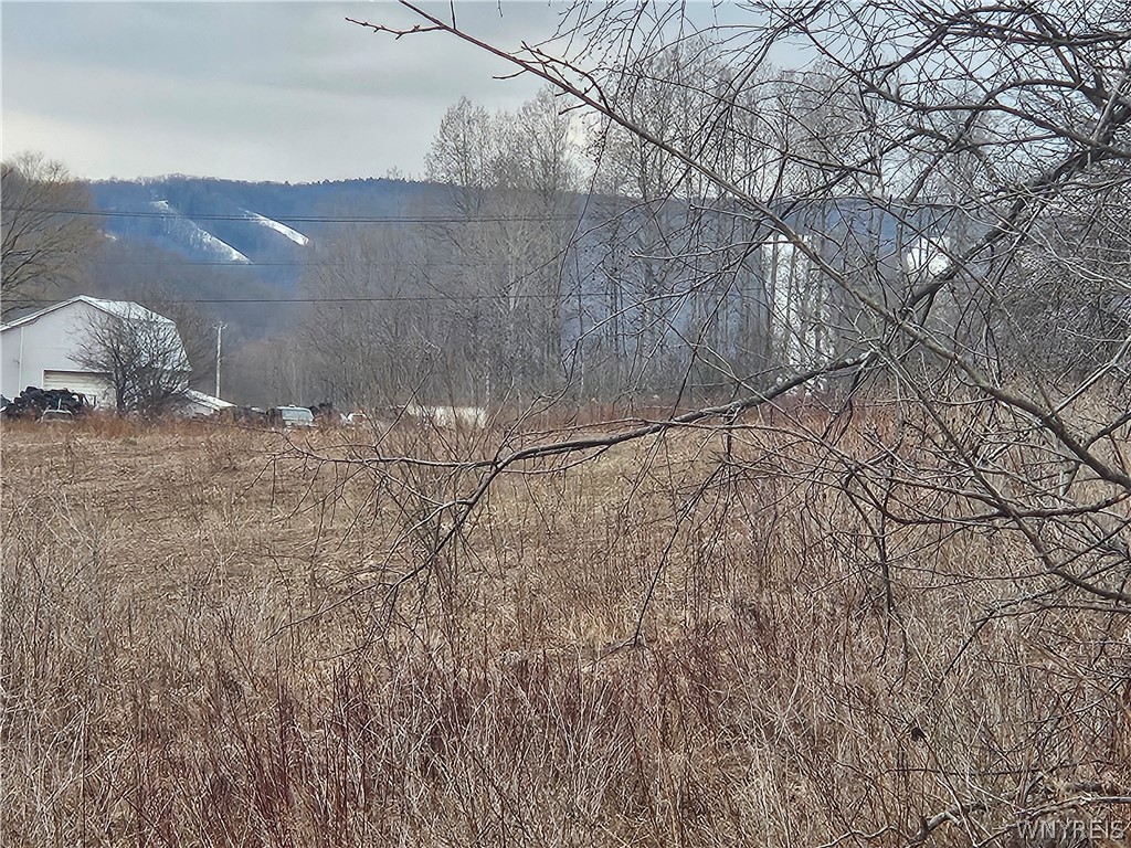 6048 Nys Route Ellicottville, NY 14731 - Photo 2 of 7 VIEW TO HOLIDAY VALLEY AND HOLIMONT SKI SLOPES
