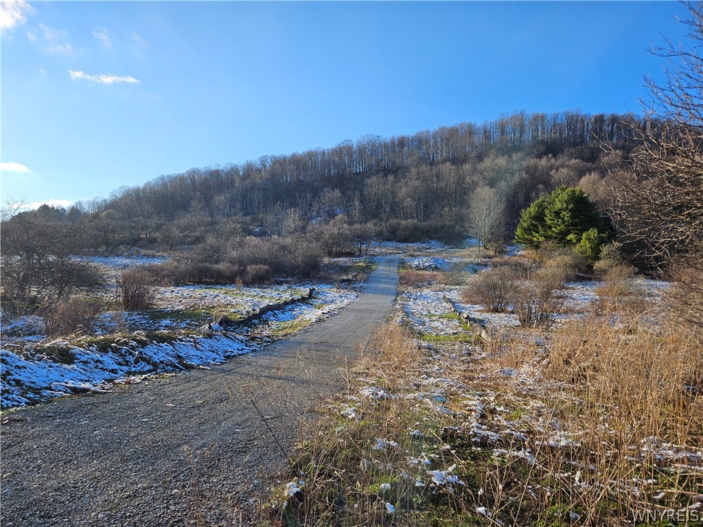 6048 Nys Route Ellicottville, NY 14731 - Photo 4 of 7