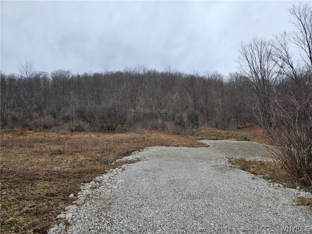 6048 Nys Route Ellicottville, NY 14731 - Photo 5 of 7 LOOKING UP THE NEW DRIVEWAY