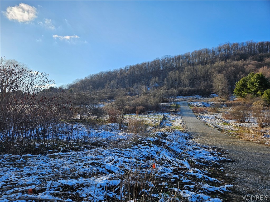 6048 Nys Route Ellicottville, NY 14731 - Photo 7 of 7