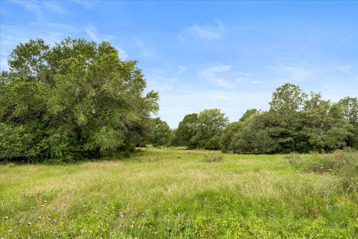 8413 Mach Road La Grange, TX 78945 - Photo 5 of 40