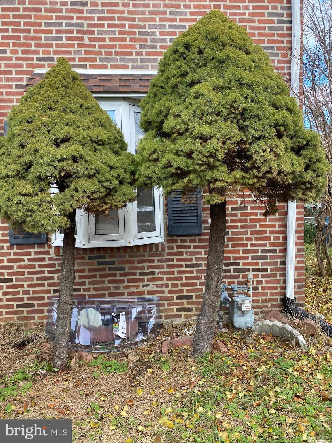 111 Andrea Road Cheltenham, PA 19012 - Photo 20 of 46 Gallery Image 20